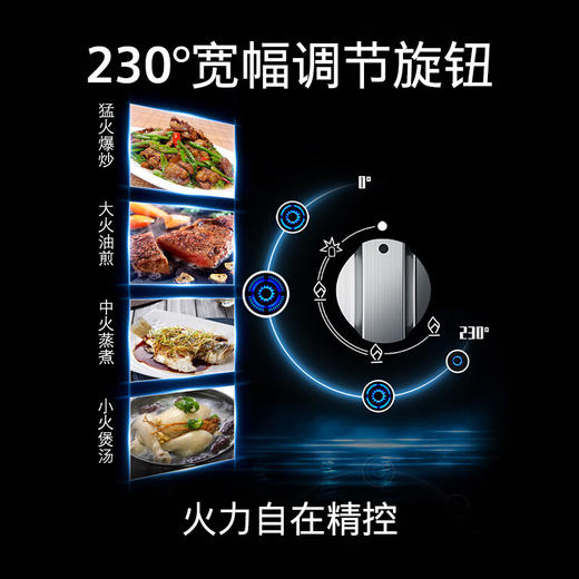 西门子/灶具/ER8PF233MP/嵌入式5.2KW大火力燃气灶 天然气 全铜炉头 精控火力 一键快速点火 商品图5