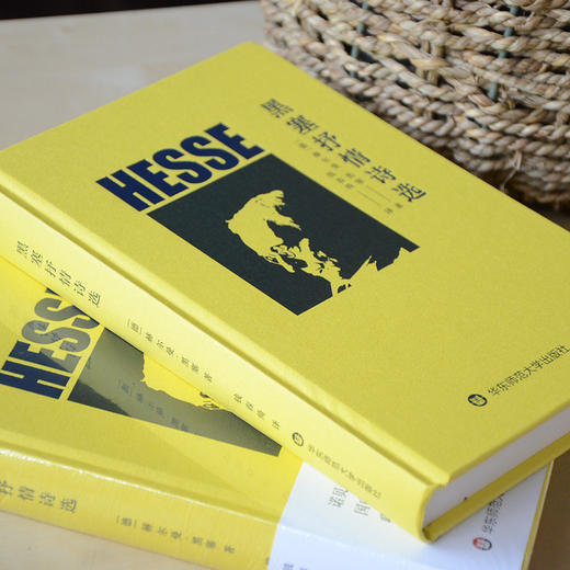 黑塞抒情诗选 独角兽文库 黑塞亲笔绘制水彩画 全彩印刷 精装 商品图2