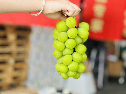 韩国进口晴王，Q弹的肉质，超棒的口感～又甜又香，甜度超高 商品图3