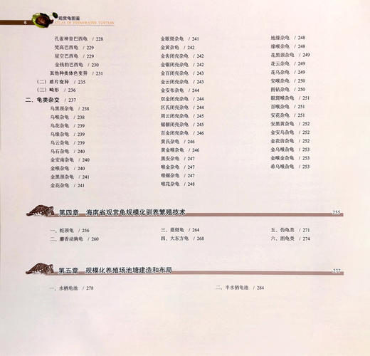 【市售版】《观赏龟图鉴》无作者签名版 出版社直发-分销 商品图6