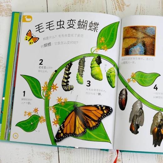 💥重磅新书开抢！！必须拿下DK《My Encyclopedia of of very important things》英文原版&点读版👏全新上市 商品图1