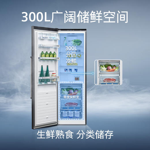 西门子/冰箱/KS36FPX33C/300升单门大容量冷藏原装进口冰箱家用 零度保鲜 灵敏控温 灵活组合 曜钢质感 商品图4
