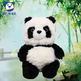 新款熊猫公仔国宝熊猫毛绒玩具儿童生日礼物布抓娃娃机公仔