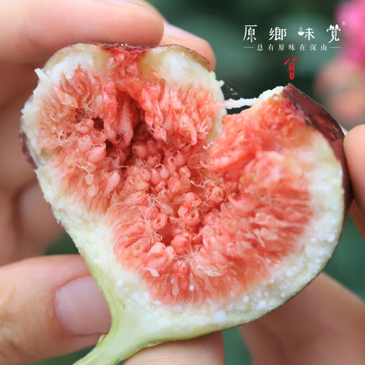 有机无花果干（成都仓库-顺丰快递）| 118g/罐，来自四川阆中，生产者：黄金【合作生产，公平贸易】 商品图3