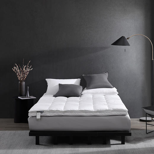 大白鹅软垫二合一 商品图0