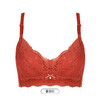 都市丽人聚拢升杯B杯适穿舒适更聚拢蕾丝无磁内衣薄款3/4杯常规文胸树脂胶圈四排扣新年本命年红品YB3AA6 商品缩略图3