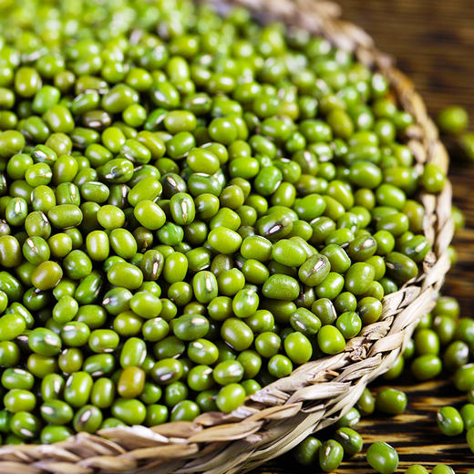 裕道府东北绿豆1千克袋装 商品图2