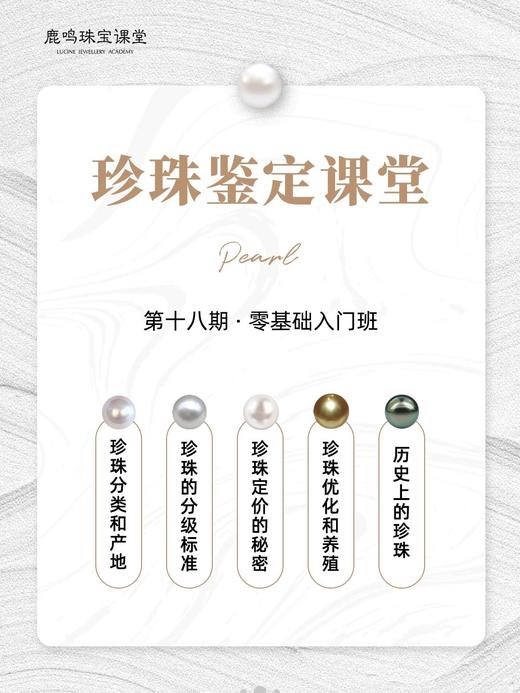 鹿鸣珍珠鉴定课堂——第十八期：零基础入门班 商品图0