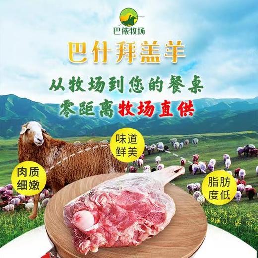 新疆塔城巴什拜羔羊肉6斤/10斤 空运到家 商品图0