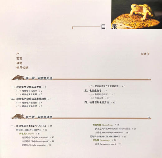 【市售版】《观赏龟图鉴》无作者签名版 出版社直发-分销 商品图1