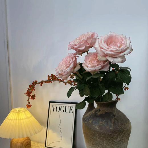 肯尼亚进口玫瑰花JOYCE乔伊斯12支 商品图7