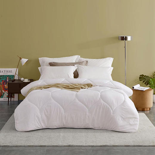 罗莱 恬梦暖绒 冬被 商品图0