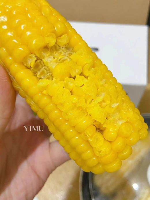 #非转基因急速锁鲜玉米棒，＃微波炉5分钟即可特别方便，来自肥沃黑土地，甜糯，吃到停不下来，爱到不想结束。 商品图2