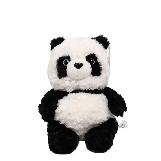 新款熊猫公仔国宝熊猫毛绒玩具儿童生日礼物布抓娃娃机公仔 商品图4