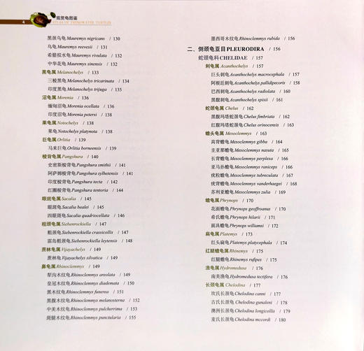 【市售版】《观赏龟图鉴》无作者签名版 出版社直发-分销 商品图4