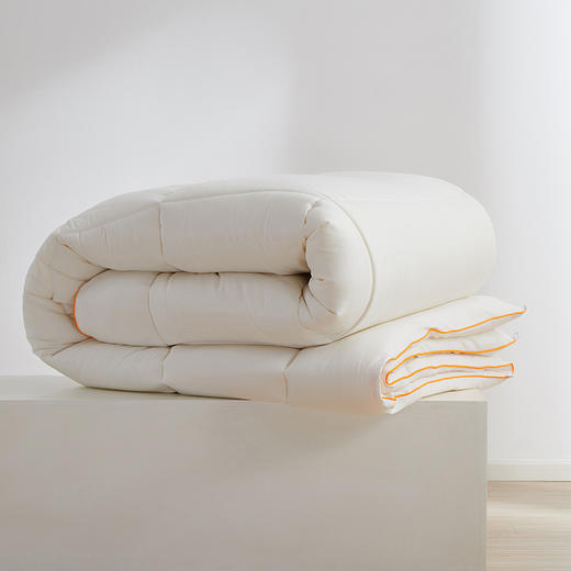 佳丽斯英国进口抗菌羊毛暖暖冬被加厚保暖 商品图2