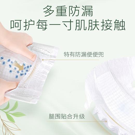 【直发】中国 好奇 森林密语系列纸尿裤拉拉裤系列 2包 商品图1