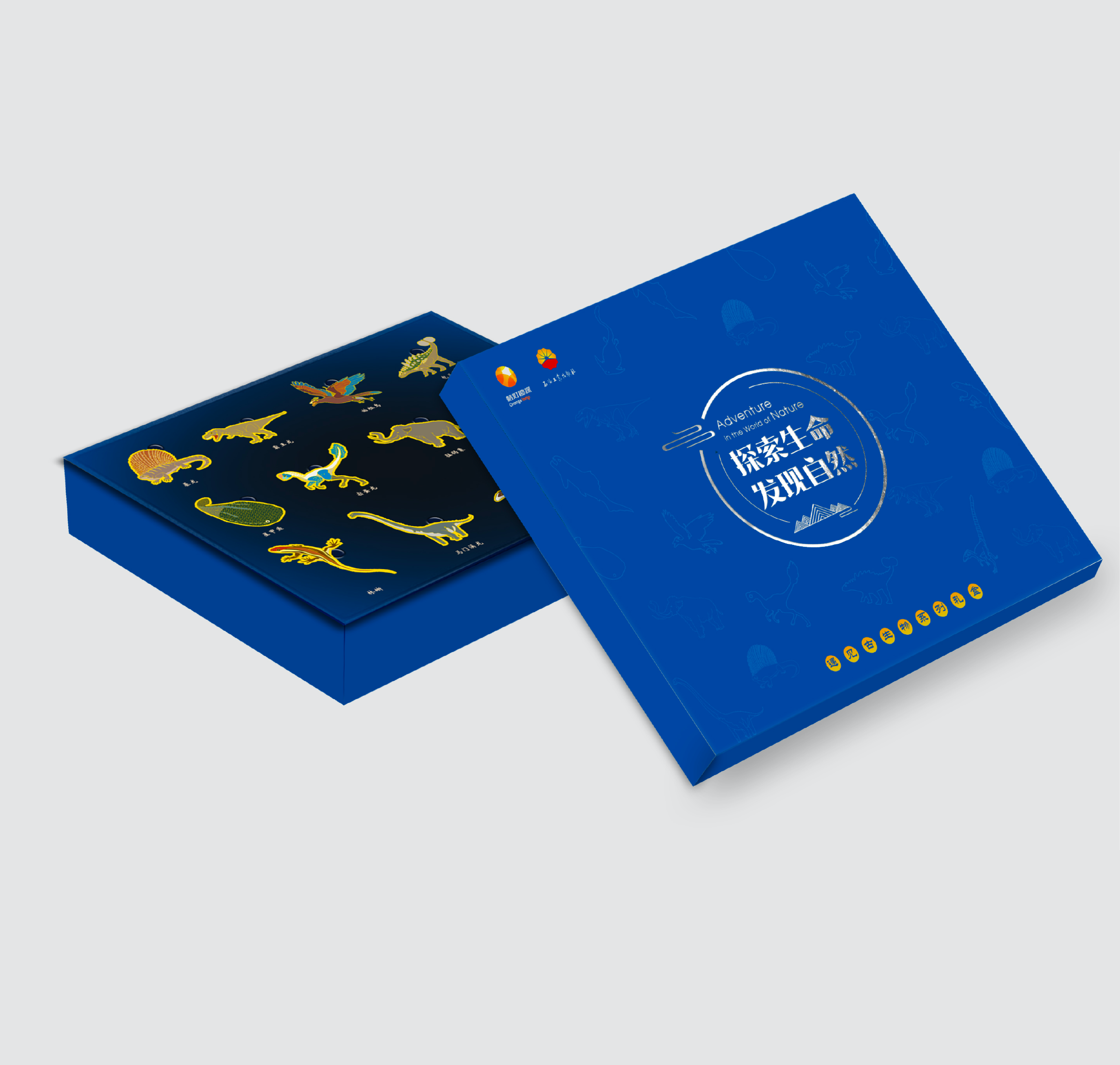 古生物冰箱贴套盒：恐龙、中华龙鸟、霸王龙...