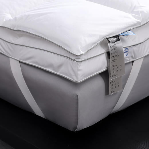 大白鹅软垫二合一 商品图4