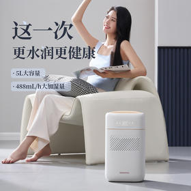 【官方自营】大宇无雾加湿器卧室孕妇婴儿家用桌面静音冷蒸发式空气净化器