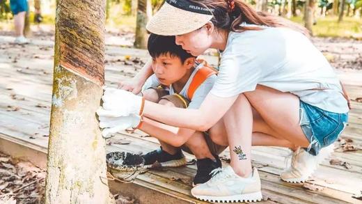 寒假仅余3期有位！速抢【2026寒假 | 奢玩西双版纳亲子6天5晚】4晚洲际+1晚小熊猫庄园，光酒店都值！动植物专家伴游讲解，五星好评爆款！过「高奢」版向往生活！ 商品图11