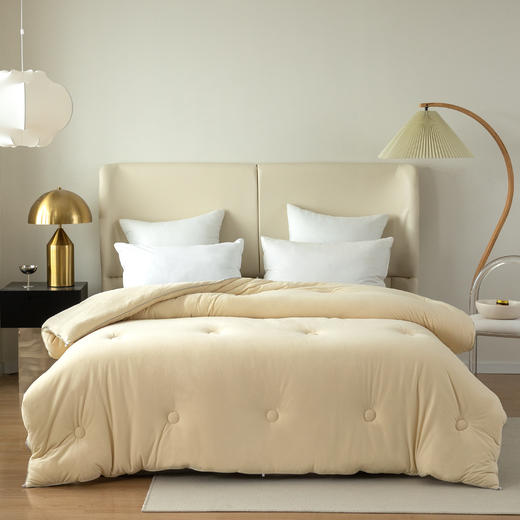 【冬被上新】大豆抗菌防螨双人被 商品图0