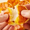 【松软拉丝不粘牙！软心啵啵饼面包】软糯香甜，皮薄馅厚，饱满馅料，整箱网红美食解馋小零食排行榜好吃的休闲食品健康 商品缩略图2
