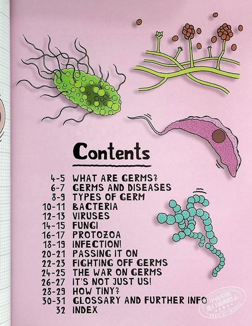 【中商原版】太喜欢科学了 微小科学系列 细菌 英文原版  Tiny Science Germs Anna Claybourne 科普百科 商品图4
