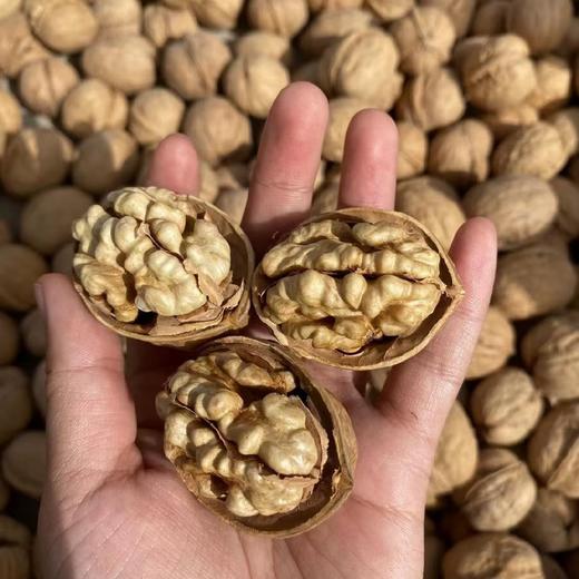 新疆阿克苏185一级真正纸皮核桃 3/5斤装 商品图12