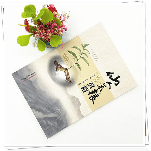 仙人余粮：黄精 何清湖 林承雄 主编 中国中医药出版社 商品图1