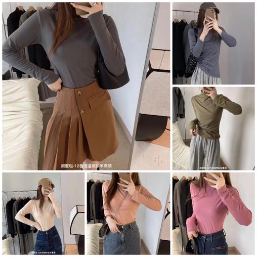 【GZ】无忧购秋冬复古百搭恒温亲肤半高领薄绒打底衫（截单后3-5天发货) 商品图0