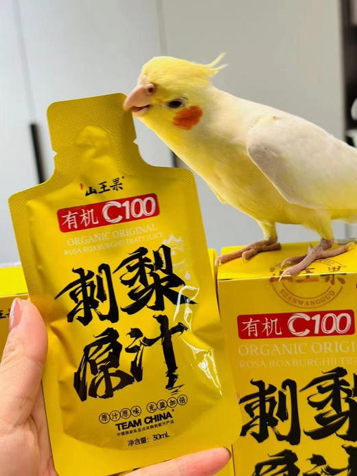 【健康养生快乐生活系列】山王果有机刺梨原汁 商品图11