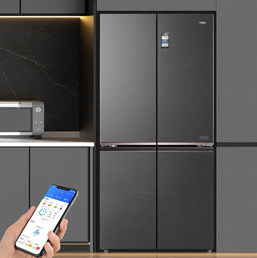 海尔（Haier）冰箱 BCD-660WGHTD2GSTU1 商品图10