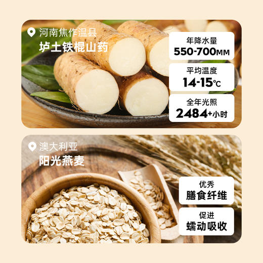 【限时活动】【抢2桶69送3包】金豆芽山药燕麦粉即食冲饮代餐秋季营养 商品图1