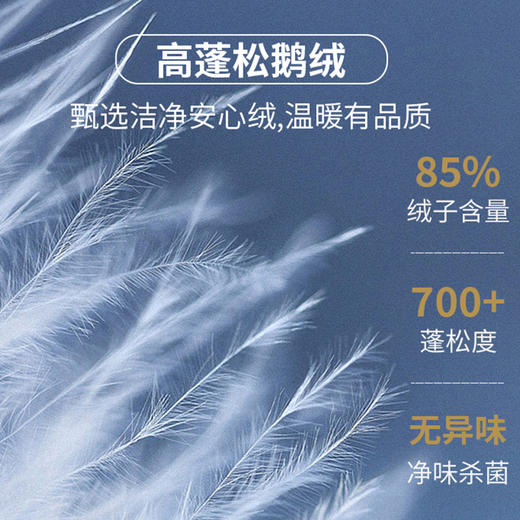 可拆卸内胆獭兔毛【新款DKP】大依优型大码狐狸毛领中长款鹅绒羽绒服休闲胖子大码男休闲宽松加肥加大上衣冬季外套 商品图2