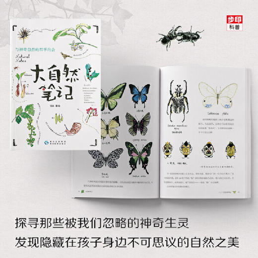 大自然笔记 商品图2