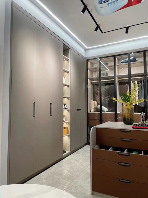 索菲亚柜（黛恩系列） 商品图0