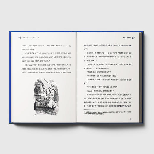 《爱丽丝漫游奇境》（经典译林版） 商品图4