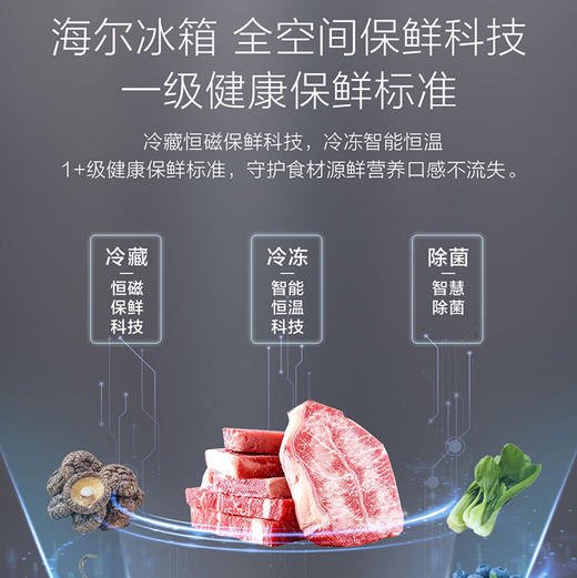 海尔（Haier）冰箱 BCD-660WGHTD2GSTU1 商品图1