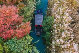 “沙”场点兵 吃蟹得拼 ——主播带你趣玩沙家浜主题自驾游