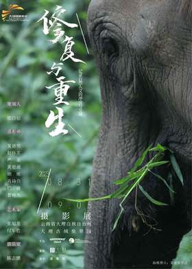 策展人签名《修复与重生：记录自然人文的冲突与交融》展览海报