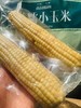 花糯玉米2袋 商品缩略图1
