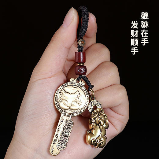 貔貅五帝钱富甲天下挂件 商品图2