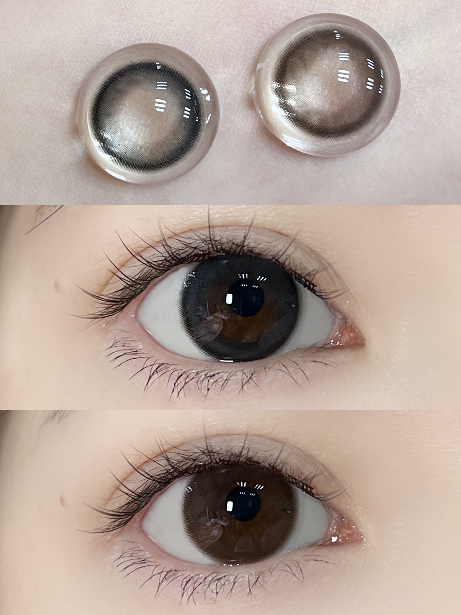 正品半年抛 I Doriscon系列黑莓冻美瞳 I 直径14.5着色直径13.9 I 韩国产