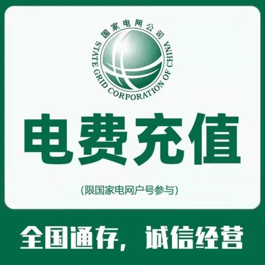 部分地区~湖南~预存充值电费代缴72小时内到账（分批到账）不支持退款 商品图0
