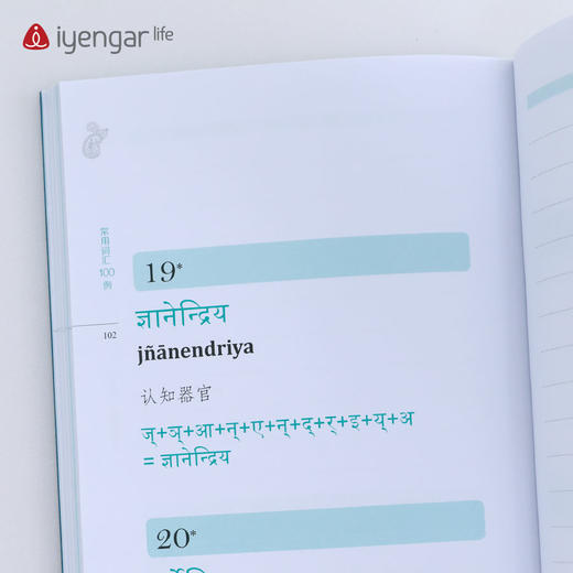 B1198艾扬格Life 《常用词汇100例》学习瑜伽梵文书籍 商品图4