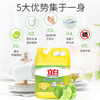 立白清新柠檬洗洁精【4.028kg】 商品缩略图1