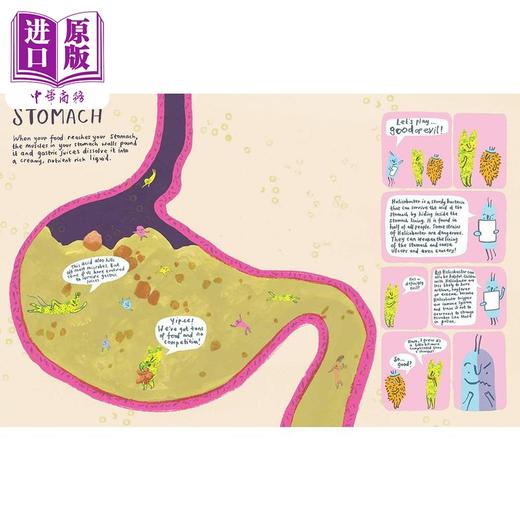 预售 【中商原版】肠道花园 微生物的奇妙世界Gut Garden A Journey Into the Wonderful World of Your Microbiome英文原版科普绘本 商品图4