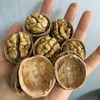 新疆阿克苏185一级真正纸皮核桃 3/5斤装 商品缩略图13
