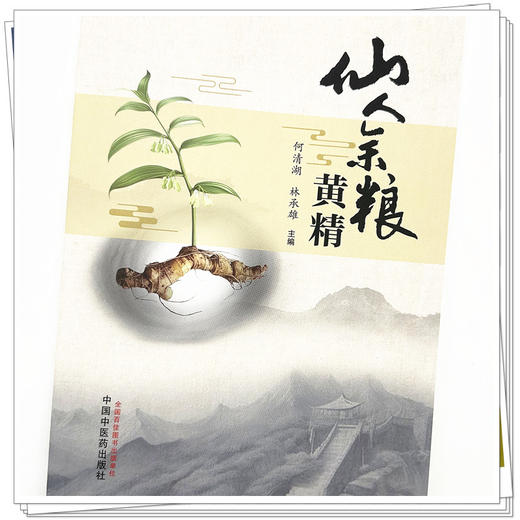 仙人余粮：黄精 何清湖 林承雄 主编 中国中医药出版社 商品图3